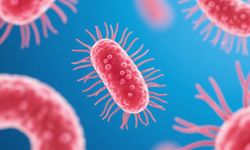 Ureaplasma nedir? Belirtileri ve tedavisi