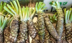 Wasabi nedir? Tadı nasıl, ne kadar acıtır ve sağlıklı mı