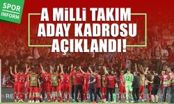 A Milli Takım aday kadrosu açıklandı! Kimler kadroda, Bulgaristan ve Gürcistan maçlarında kimler oynayabilecek?