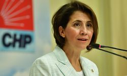 CHP Ankara Milletvekili Aylin Yaman'dan harç uygulaması eleştirisi