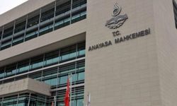 AYM, sokak hayvanları yasasının gerekçeli kararını açıkladı: 'Amaç, insan sağlığı ve güvenliği!'