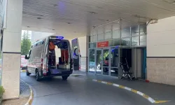 Bolu’da bir kişide deli dana hastalığı tespit edildi