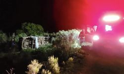 Brezilya'da kızını arılardan kurtarmak isteyen baba ve kızı hayatını kaybetti