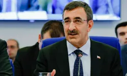 Cevdet Yılmaz enflasyon hedefleri için tarih verdi