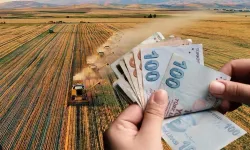 Çiftçiye müjde: Destek ödemeleri hesaplara aktarıldı!