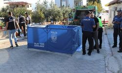 Bahçeden meyve toplayan yaşlı kadına dönüş yolunda çöp kamyonu çarptı