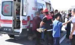 Dayısını ve yengesini öldüren zanlı cezaevinde hayatını kaybetti