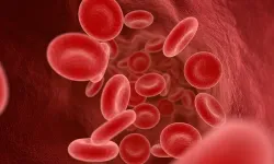 Hematokrit (HCT) nedir, neden düşer veya yükselir?