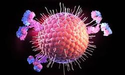 Herpes virüsü (HSV) nedir, nasıl bulaşır ve tedavisi var mı?