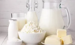 Araştırmalara göre kefir, diş çürüğünü önlemeye yardımcı oluyor