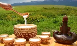 Kımız nedir, neden yapılır? Faydaları nelerdir, helal midir?