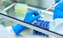 Kolera bakterisinden elde edilen protein kanser hücrelerini yok etti