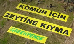 Akbelen ve zeytinlikleri madene açan yasa AYM gündeminde