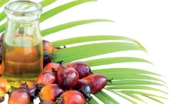 Palm yağı uyarısı: Uzmanlardan işlenmiş gıdalar için kritik açıklama