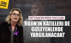 CHP'li Kaya'dan Bakan Tunç'a çağrı: '‘Rojin’in katilleri de gizleyenlerde yargılanacak!’