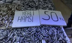 Tekirdağ'da hamsinin kilosu 50 liraya düştü! Balıkçılar 'sigaradan ucuz' diye bağırarak sattı