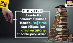 TÜİK açıkladı! Hanehalkı harcamalarında İstanbul eğitime, Ege bölgesi ise alkol ve tütüne en fazla payı ayırdı
