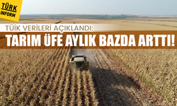 TÜİK verileri açıklandı: Tarım ÜFE aylık bazda arttı!