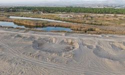 Kum taneleri bile güvende değil: Plajı çaldılar!