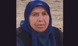 Ankara'da aile kavgası kanlı bitti: Kayınvalidesini döverek öldürdü!