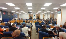 TBMM Plan ve Bütçe Komisyonu'nda DEM Partili vekilin 'Kürt illeri' ifadesi tartışma yarattı!