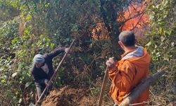 Hopa'da alevlerle mücadele devam ediyor