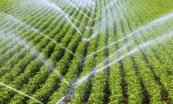 Ankara çiftçisine büyük destek: Yüzde 50 hibeli damla sulama başlıyor!