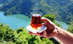 Bakanlık açıkladı: Popüler çay markalarında gıda boyası tespit edildi!