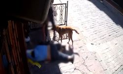 Beyoğlu'nda pes dedirten hırsızlık! Epilepsi nöbeti geçiren vatandaşı soydular: 2 şüpheli tutuklandı