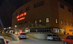 Çorum’da ‘Hayvan otlatma’ tartışması faciayla bitti: Komşusunu öldürüp intihar etti!