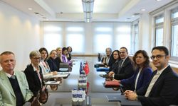 Türkiye’den BM ve İskandinav ülkeleriyle kadın hakları iş birliği