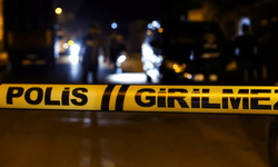 Diyarbakır'da kan donduran olay: Annesi ve ağabeyini tüfekle öldürdü!