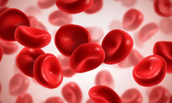 Eritrosit nedir, idrarda eritrosit ne anlama gelir, kanser ibaresi mi?