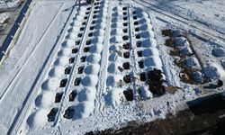 Erzurum’da toprağın donması nedeniyle 500 mezar yeri önceden açıldı