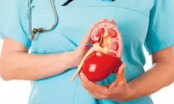 GFR yüksekliği nedir? GFR yüksekliği ve düşüklüğü ne anlama gelir?