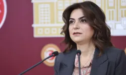 İmralı’ya giden heyetten açıklama: “Komisyonu ilk elden bilgilendireceğiz”