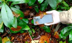 Kastamonu’da anne ve oğlunun sır ölümünde yeni gelişme