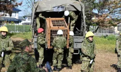 Japonya'da 'Ayı Operasyonu' başlıyor! Çevik kuvvet polislerine tüfek izni verildi