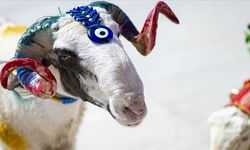 Kurban Bayramı 2026 ne zaman, hangi güne denk geliyor? Diyanet takvimi ile bayram tatili kaç gün olacak?