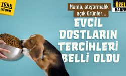 Mama, atıştırmalık, açık ürünler... Evcil dostların tercihleri belli oldu