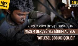 Küçük eller kayıp hayatlar: MESEM gerçeğiyle eğitim adıyla "kitlesel çocuk işçiliği"