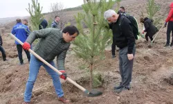 11 Kasım Milli Ağaçlandırma Günü’nde 3,2 milyon fidan toprakla buluşuyor