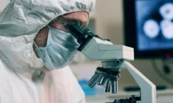 Nijerya’da Lassa ateşi yayılıyor: Vaka ve can kayıpları arttı