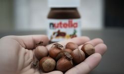 Nutella’nın üretici firması, Türkiye’den fındık alımını durdurdu! Sebep: Kokarca böceği