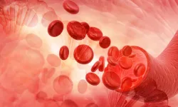 RDW düşüklüğü nedir? RDW testi nasıl yapılır?