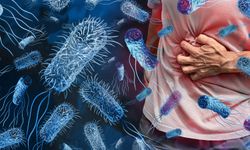 Salmonella nedir? Salmonella nereden bulaşır? Salmonella insandan insana bulaşır mı?