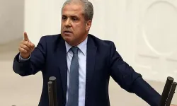 Şamil Tayyar'dan Fatih Altaylı kararına tepki: "İmralı ile müzakere yapılırken sürece gölge düşürür"