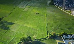 Arsa-tarla fiyatlarının en çok arttığı ve azaldığı o iller açıklandı!