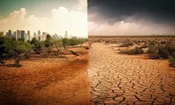 UNEP Raporu: Dünya, iklim felaketinin eşiğinde!
