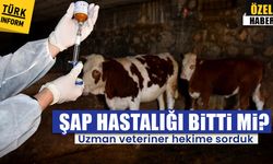 Uzman veteriner hekime sorduk: Şap hastalığı bitti mi?